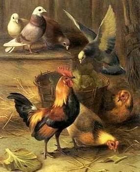 unknow artist Poultry 099 oil painting picture